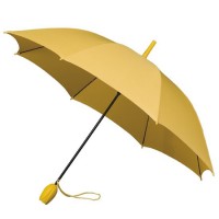 Tulp paraplu -