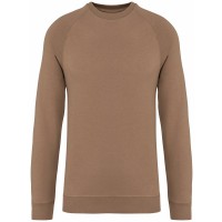 Unisex raglan sweater - 300 gr/m2